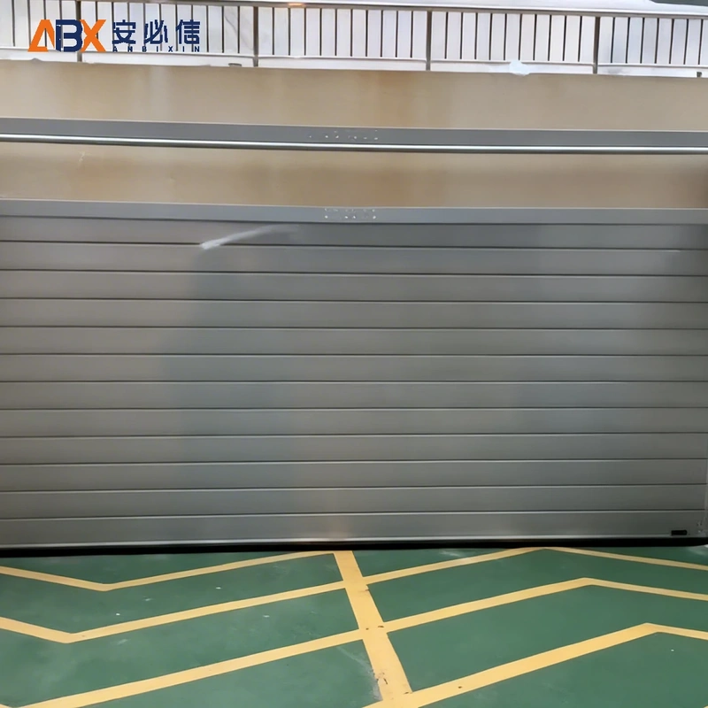 自贡市软帘高速门